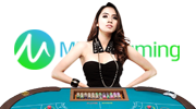 Microgaming Casino Suite